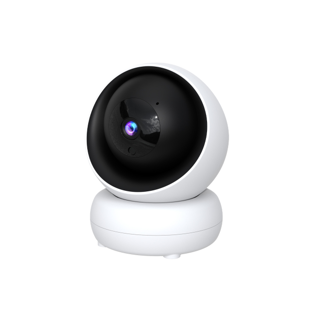 Indoor WiFi PTZ Camera