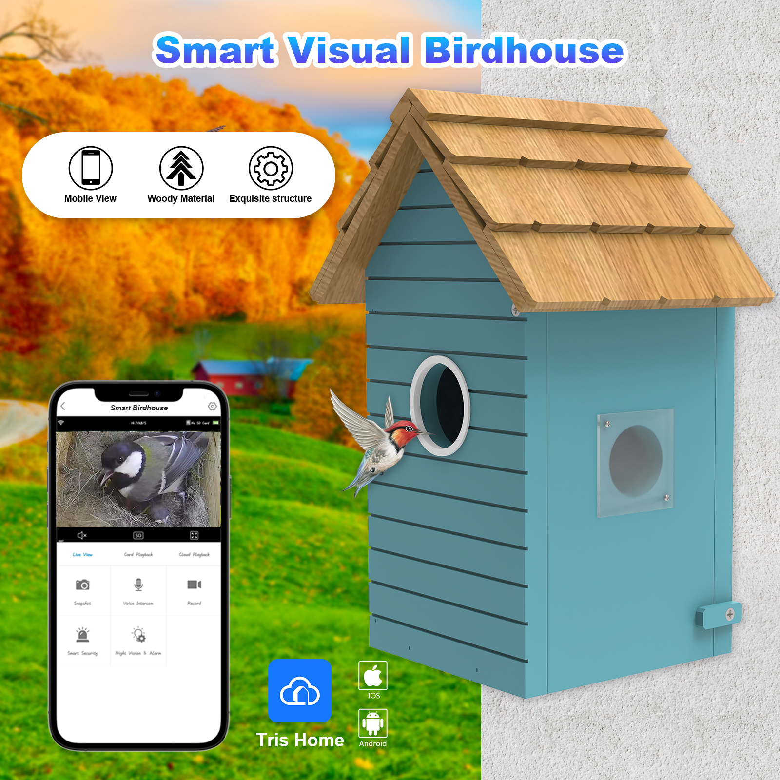 Wooden Bird House with 3Mp Camera
