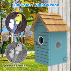 Wooden Bird House with 3Mp Camera