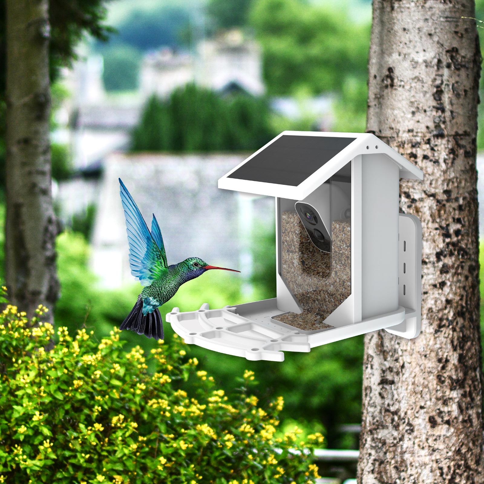 2.5L Capacity Smart Bird Feeder