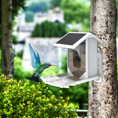 2.5L Capacity Smart Bird Feeder