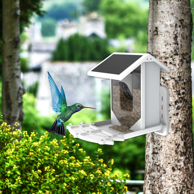 2.5L Capacity Smart Bird Feeder