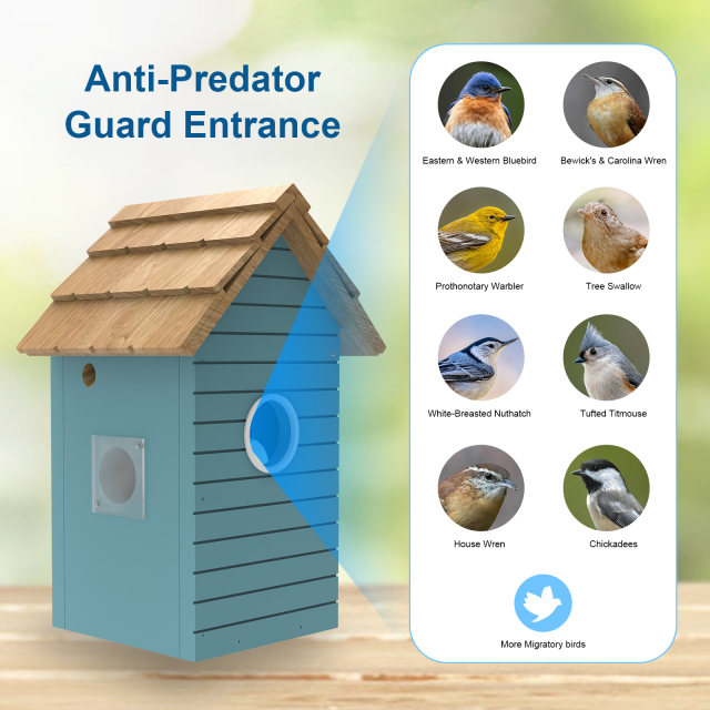 Wooden Bird House with 3Mp Camera