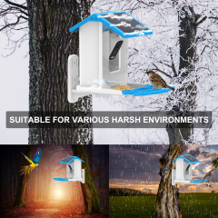 2.5L Capacity Smart Bird Feeder