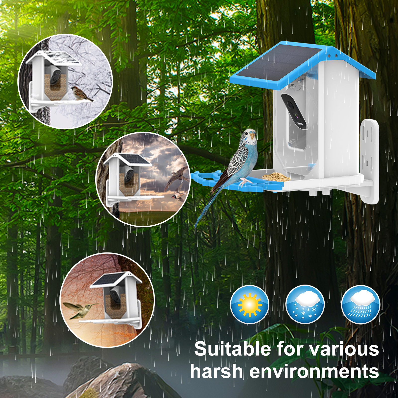 2.5L Capacity Smart Bird Feeder