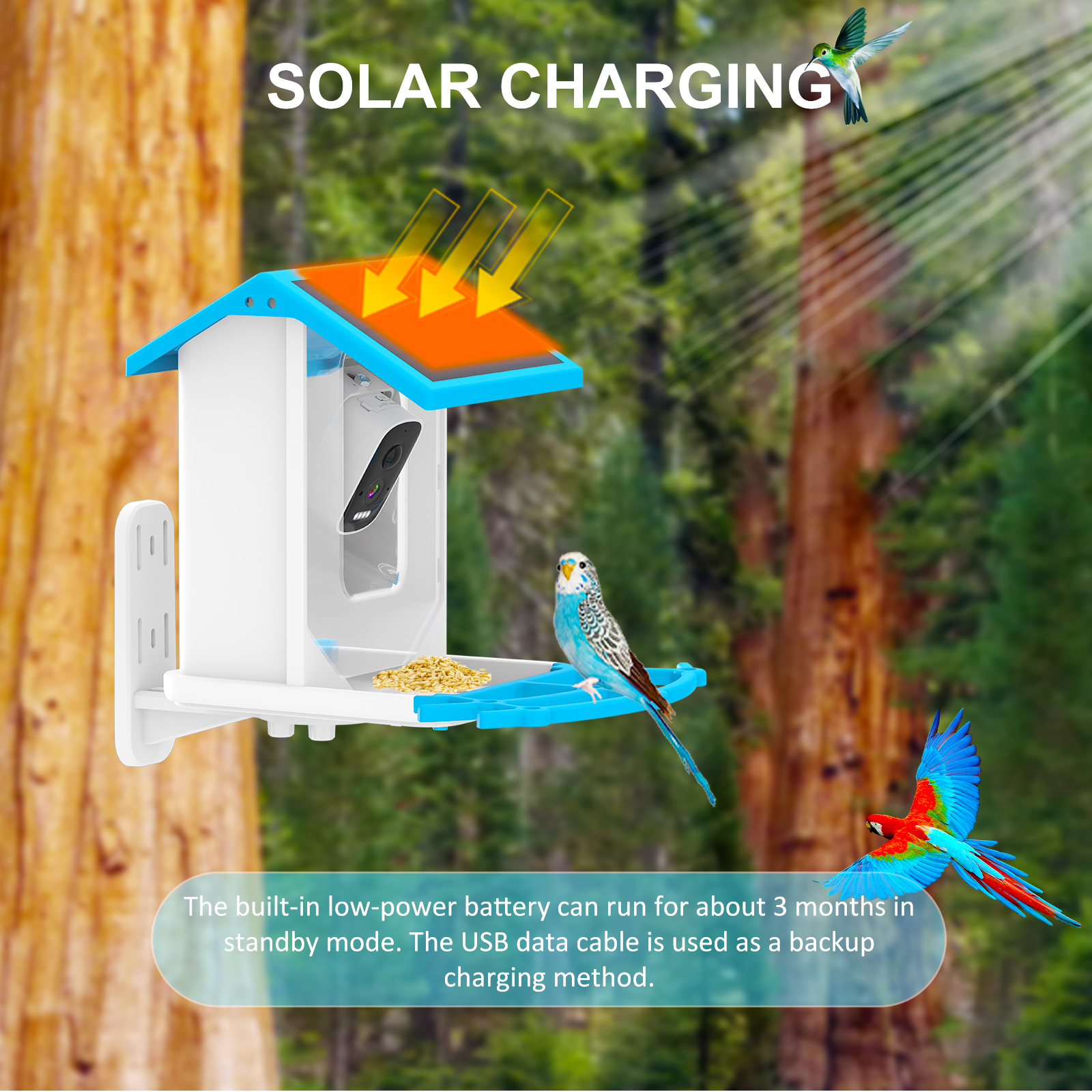 2.5L Capacity Smart Bird Feeder