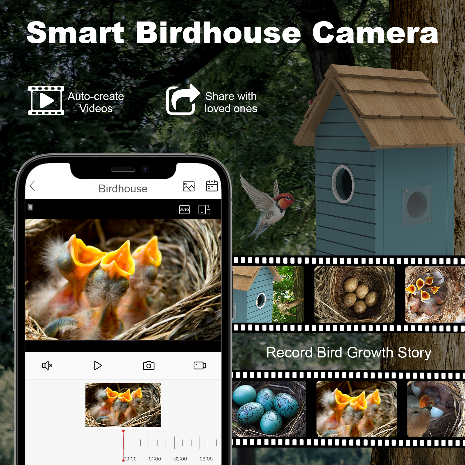 Wooden Bird House with 3Mp Camera