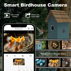 Wooden Bird House with 3Mp Camera