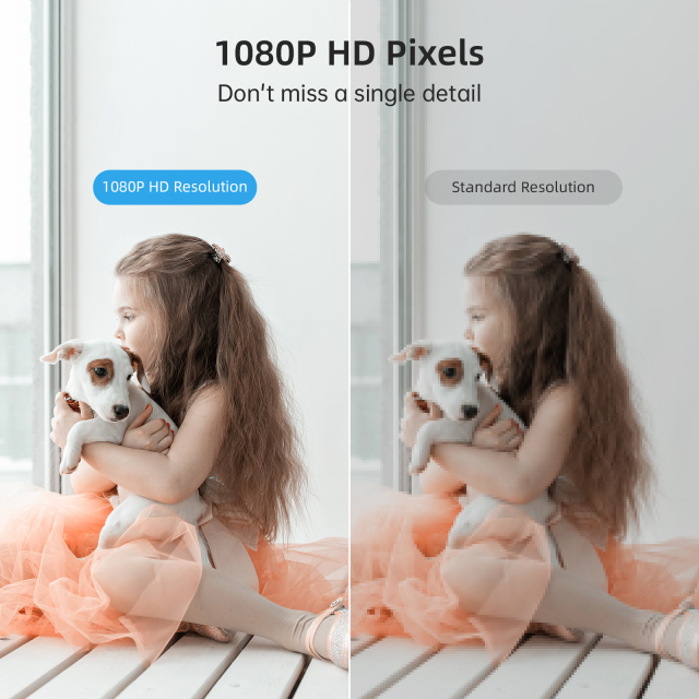 icsee Push-Button Call Camera