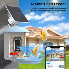 Smart AI Bird Feeder
