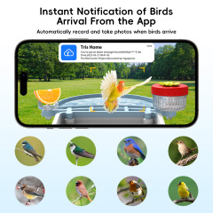 Smart AI Bird Feeder