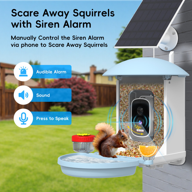 Smart AI Bird Feeder