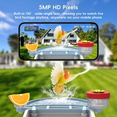 Smart AI Bird Feeder