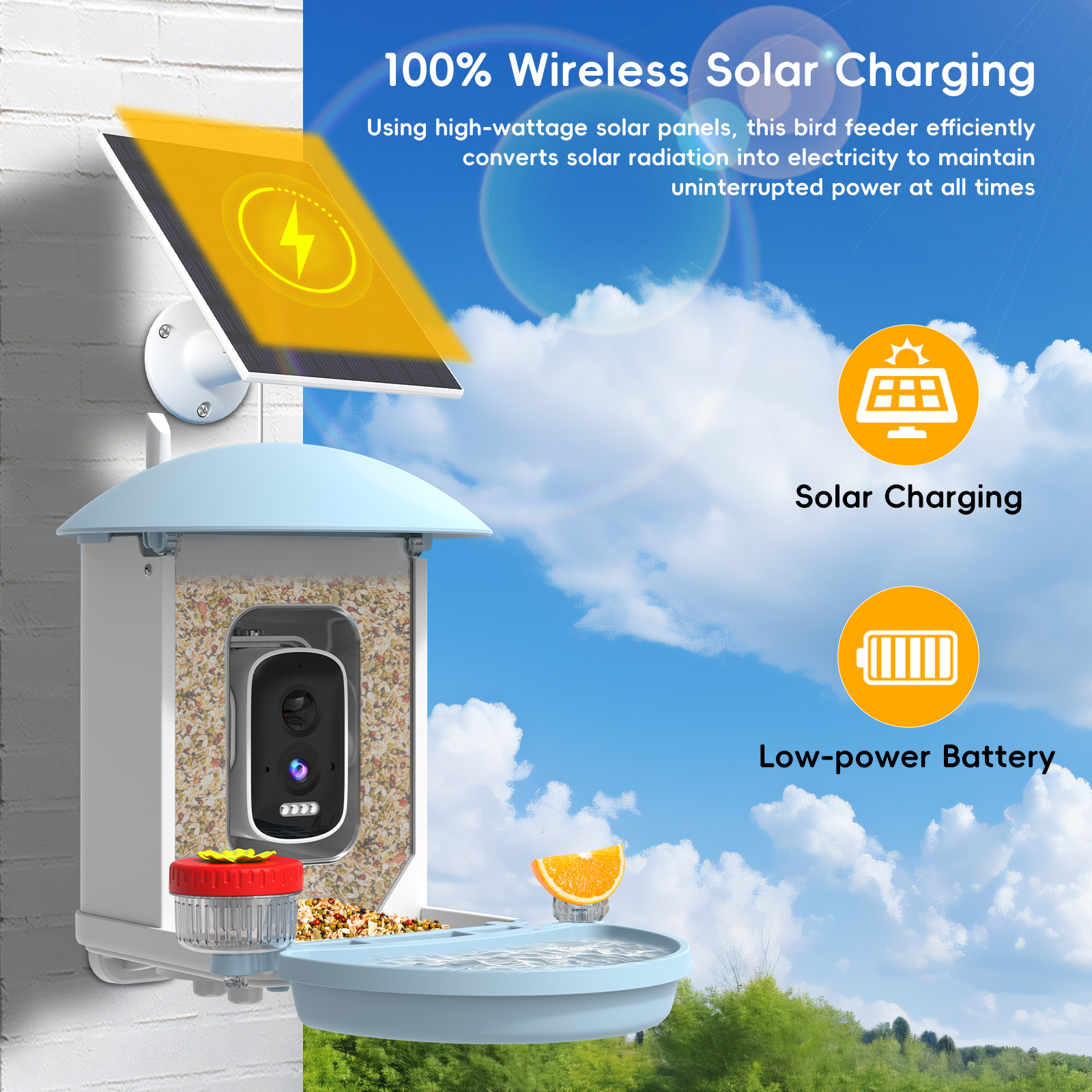Smart AI Bird Feeder