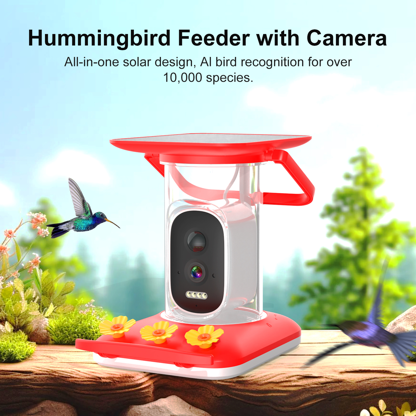Smart Hummingbird Feeder