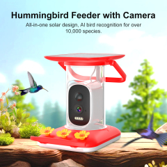 Smart Hummingbird Feeder