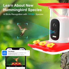 Smart Hummingbird Feeder