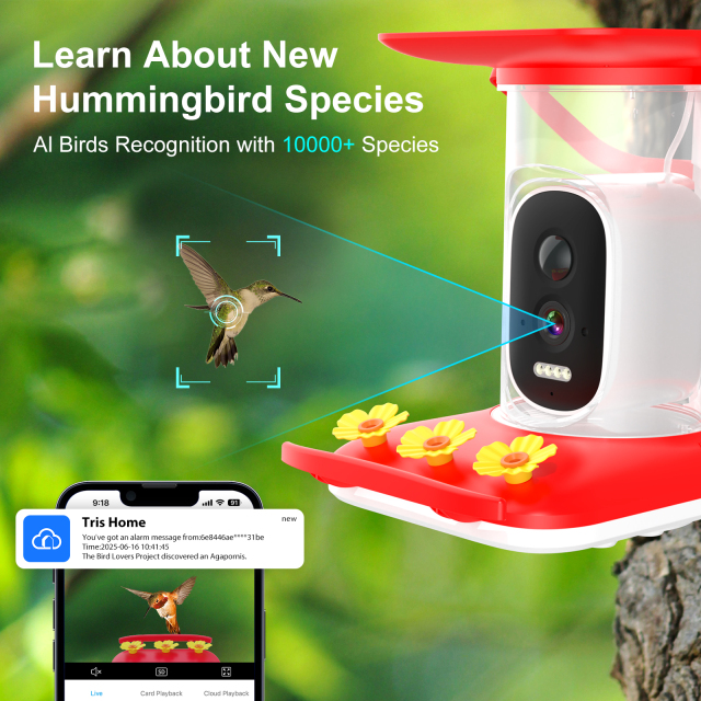 Smart Hummingbird Feeder