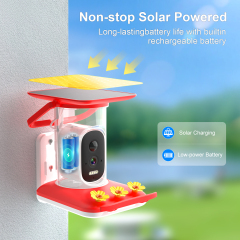 Smart Hummingbird Feeder