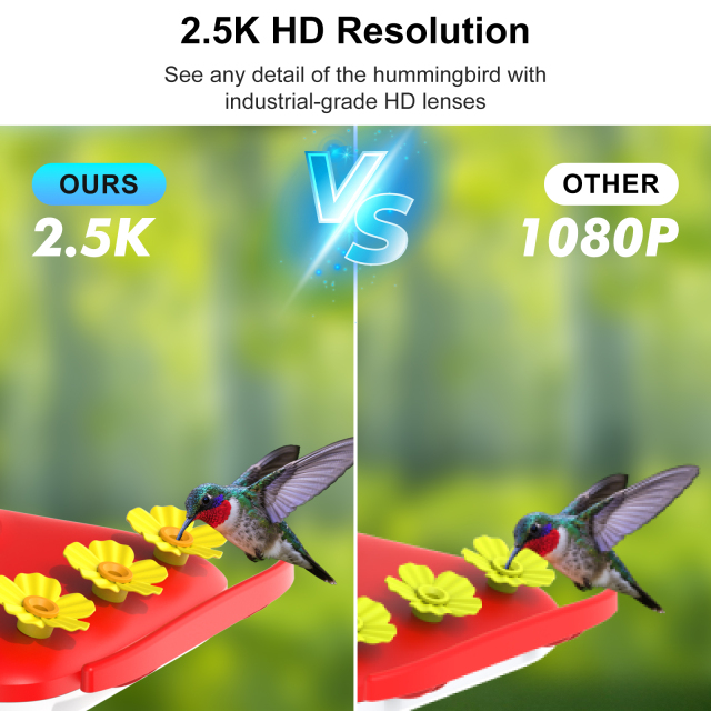 Smart Hummingbird Feeder