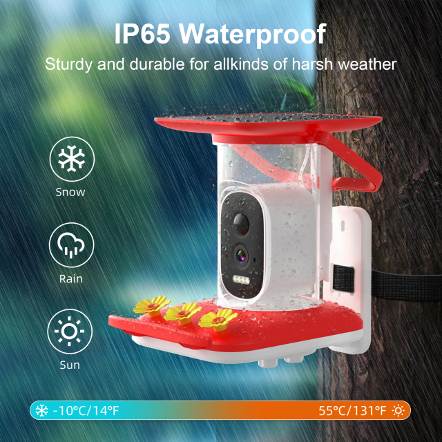 Smart Hummingbird Feeder