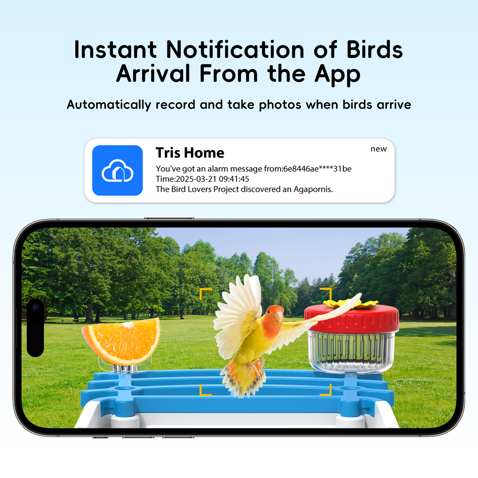 Plastic Smart Al Bird Feeder