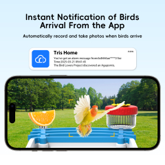 Plastic Smart Al Bird Feeder