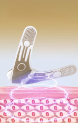 EMS Beauty Device - V model eye massager 1636 (Patented)