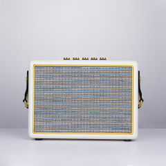 Portable speaker 100W wireless microphone vintage memory speakers PU FM Radio Guitar smart speaker