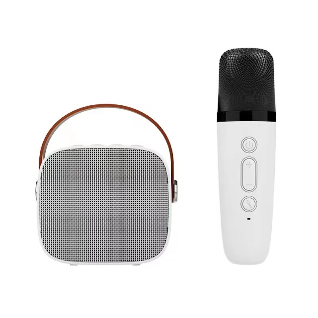 Girlish mini wireless premium karaoke speaker TWS AUX TF Card phone call with mini wireless microphone BT speaker