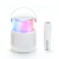 Latest adorable mini speaker ktv wireless mic with button to adjust volume mini wireless BT speaker Priority Promotional for Kid