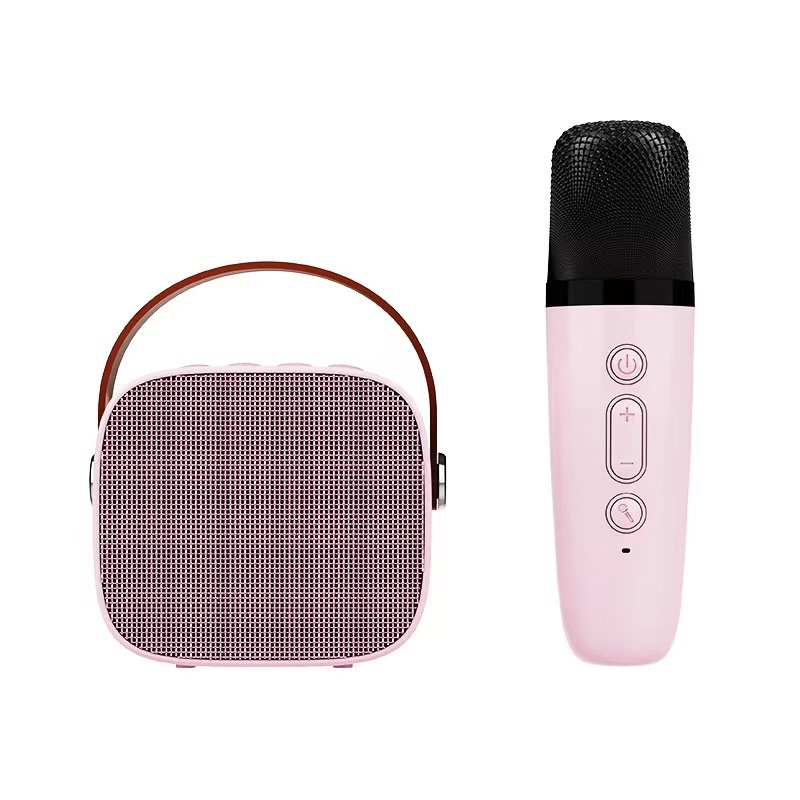 Girlish mini wireless premium karaoke speaker TWS AUX TF Card phone call with mini wireless microphone BT speaker