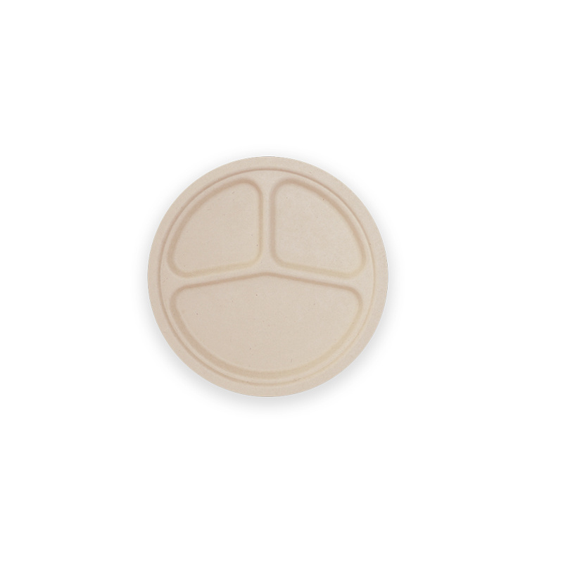 9 Inch 3-Compartment Round Plate
