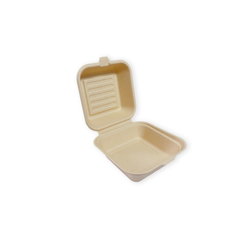 Caja tipo concha de 6 pulgadas