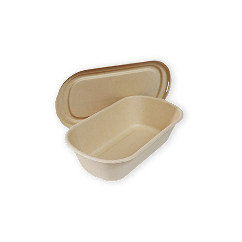 1100ML Bento Box