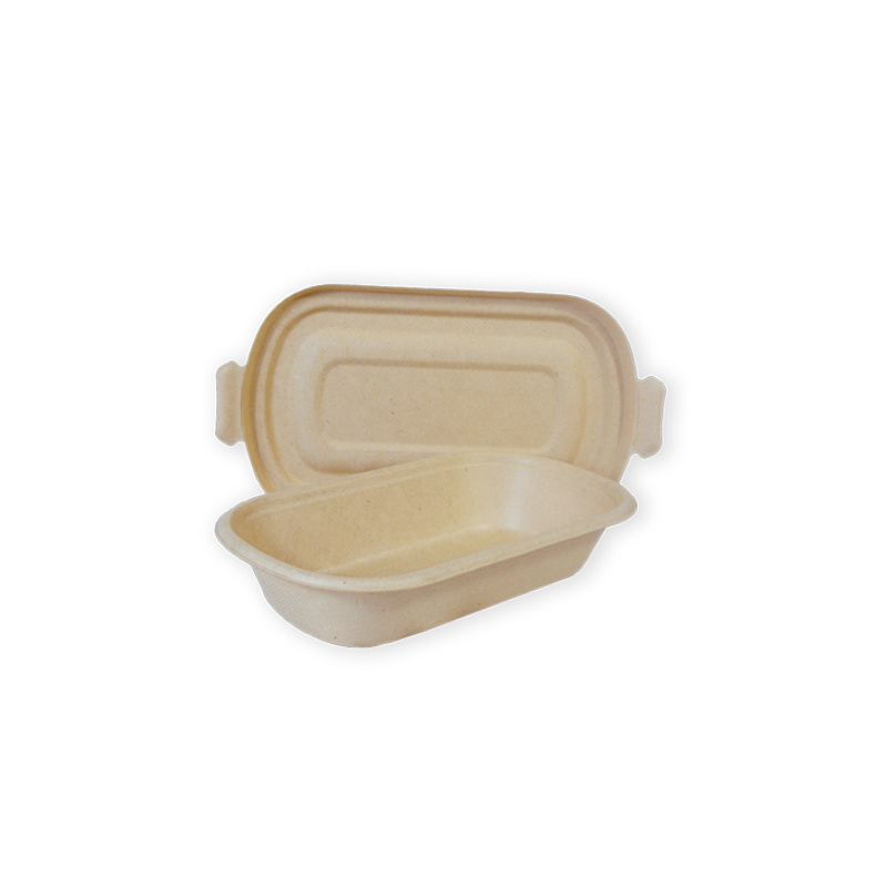 800ML Bento Box