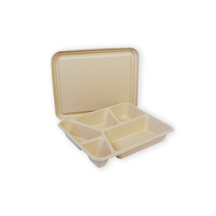 صينية سعة 1200 مل و5 أقسام