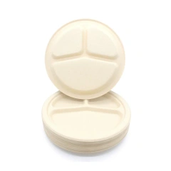 10 Inch 3-Compartment Round Plate