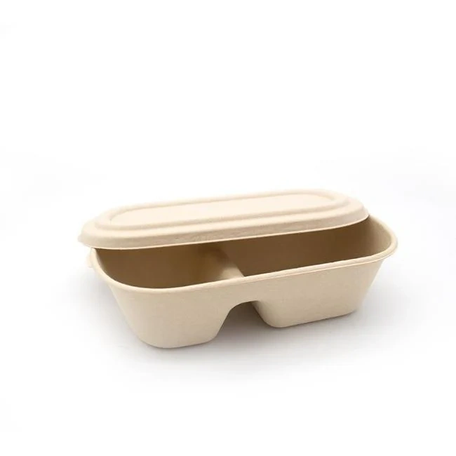 1000ML 2-Compartment Bento Box