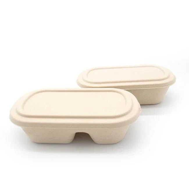 1000ML 2-Compartment Bento Box