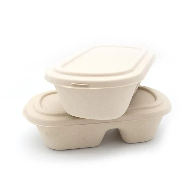 1000ML 2-Compartment Bento Box