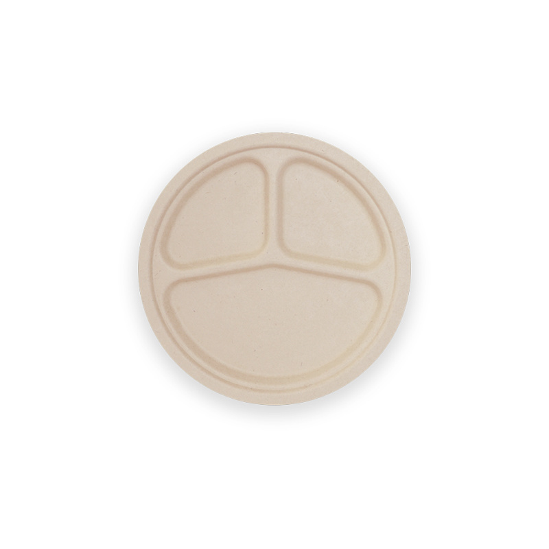 10 Inch 3-Compartment Round Plate