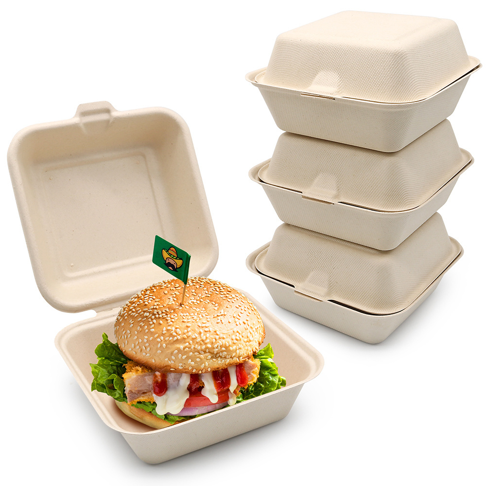 Caja tipo concha de 6 pulgadas