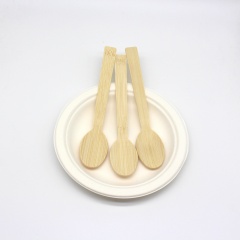 Bamboo Spoon