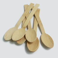 Bamboo Spoon
