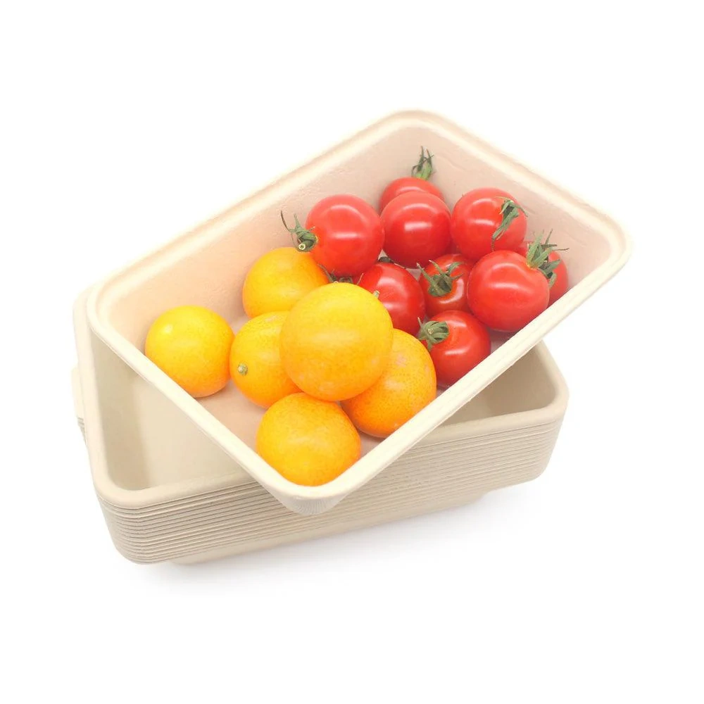 500ML Rectangle Box