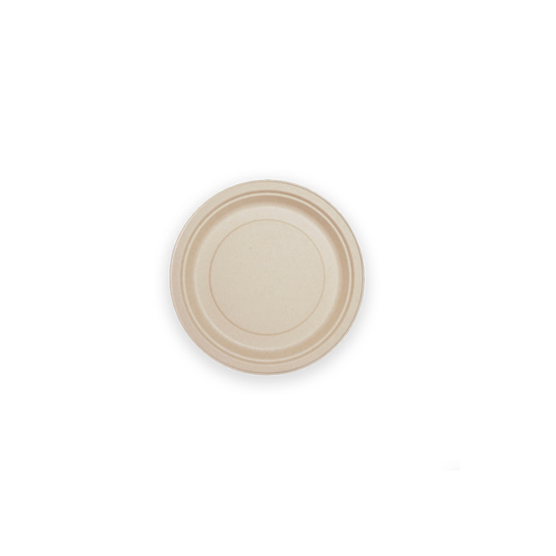 6 Inch Round Plate