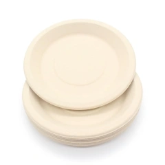 6 Inch Round Plate
