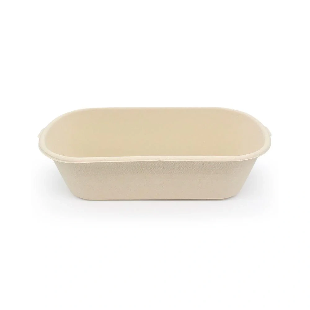 1100ML Bento Box