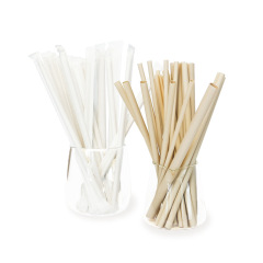 Bamboo Fiber Straw - Flat